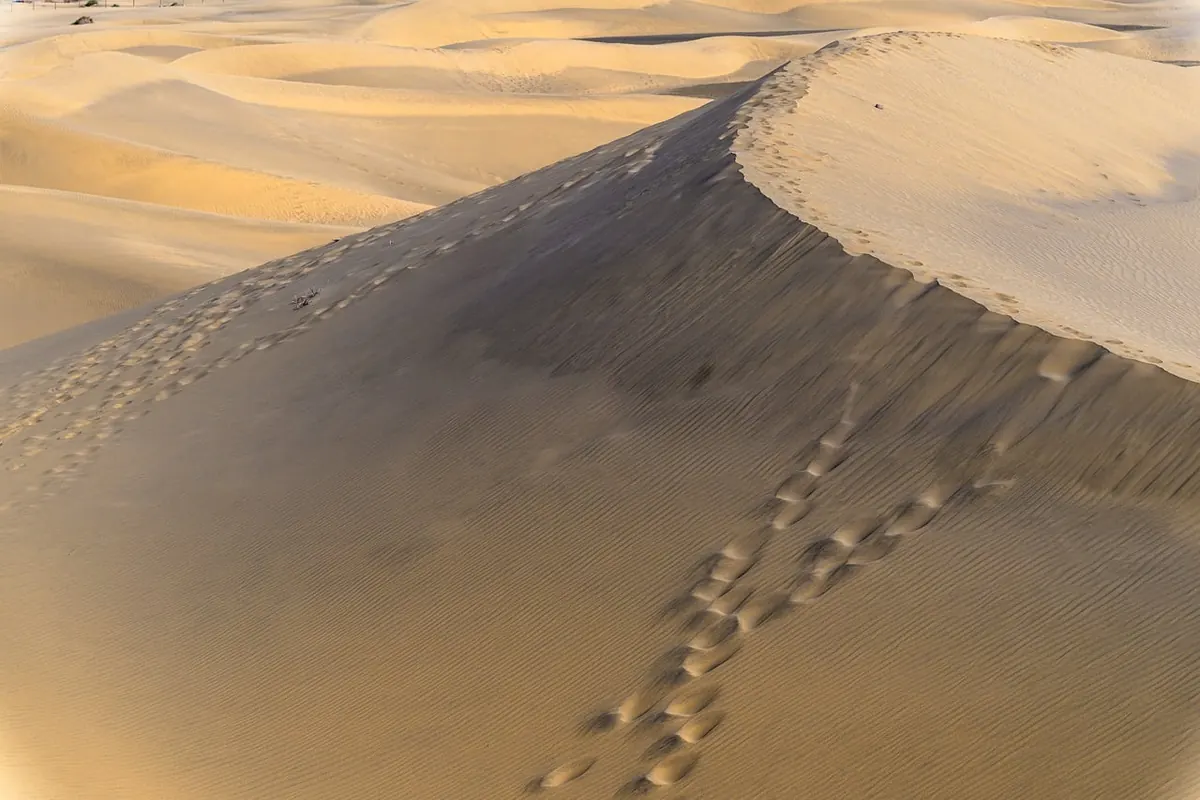 Common Mistakes Drivers Make on Their First Big Dune Ascent