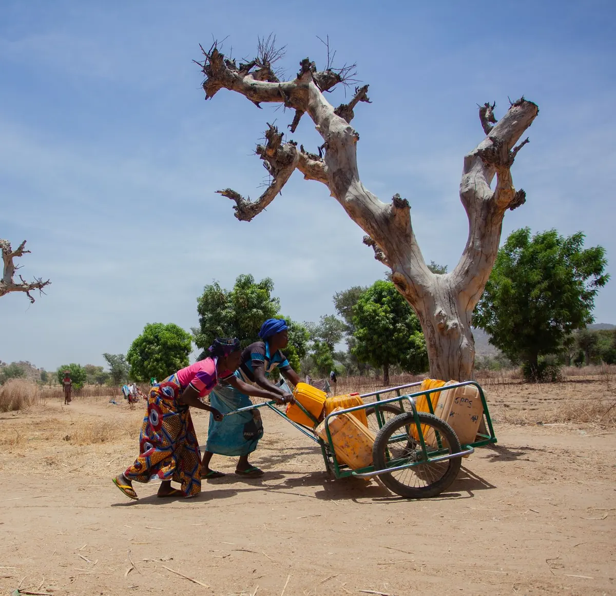 Comparing Three Desert Water Storage Solutions: Jerrycans, Bladders and Bottles