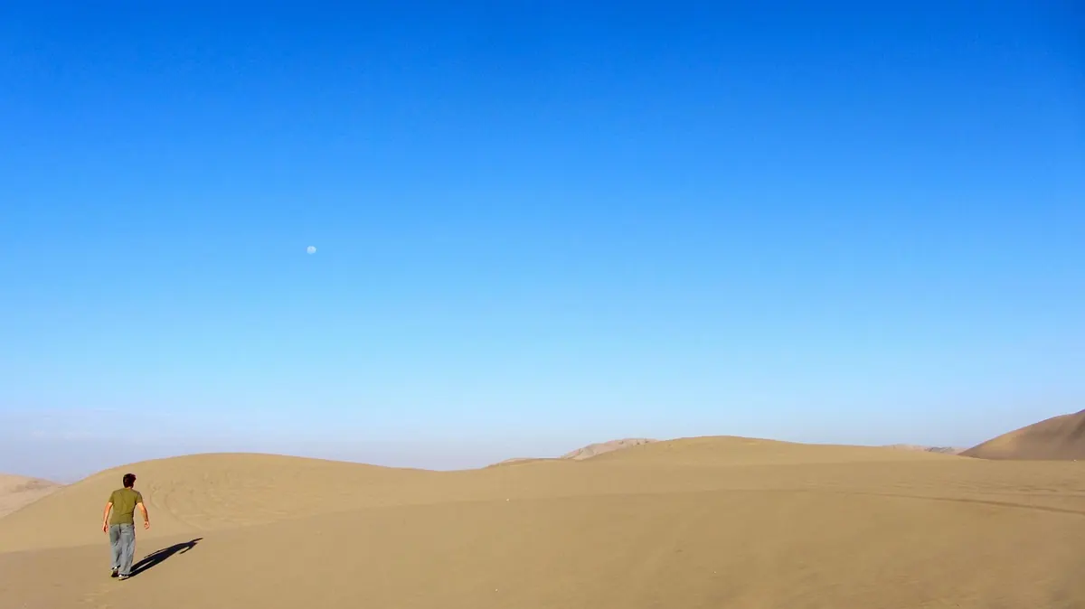 How to Read a Sand Dune: A Beginner's Guide to Slopes, Crests and Slip Faces